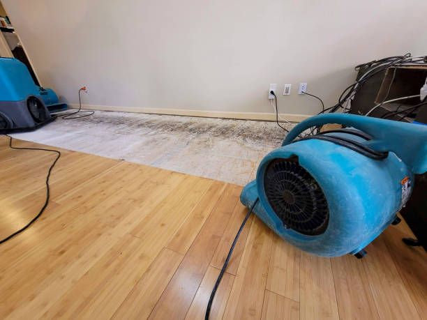 Professional Structural Drying technician working in Fultondale, AL